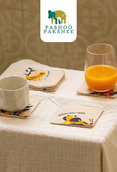 Our Ecommerce Client Pashoo Pakshee | Socialee
